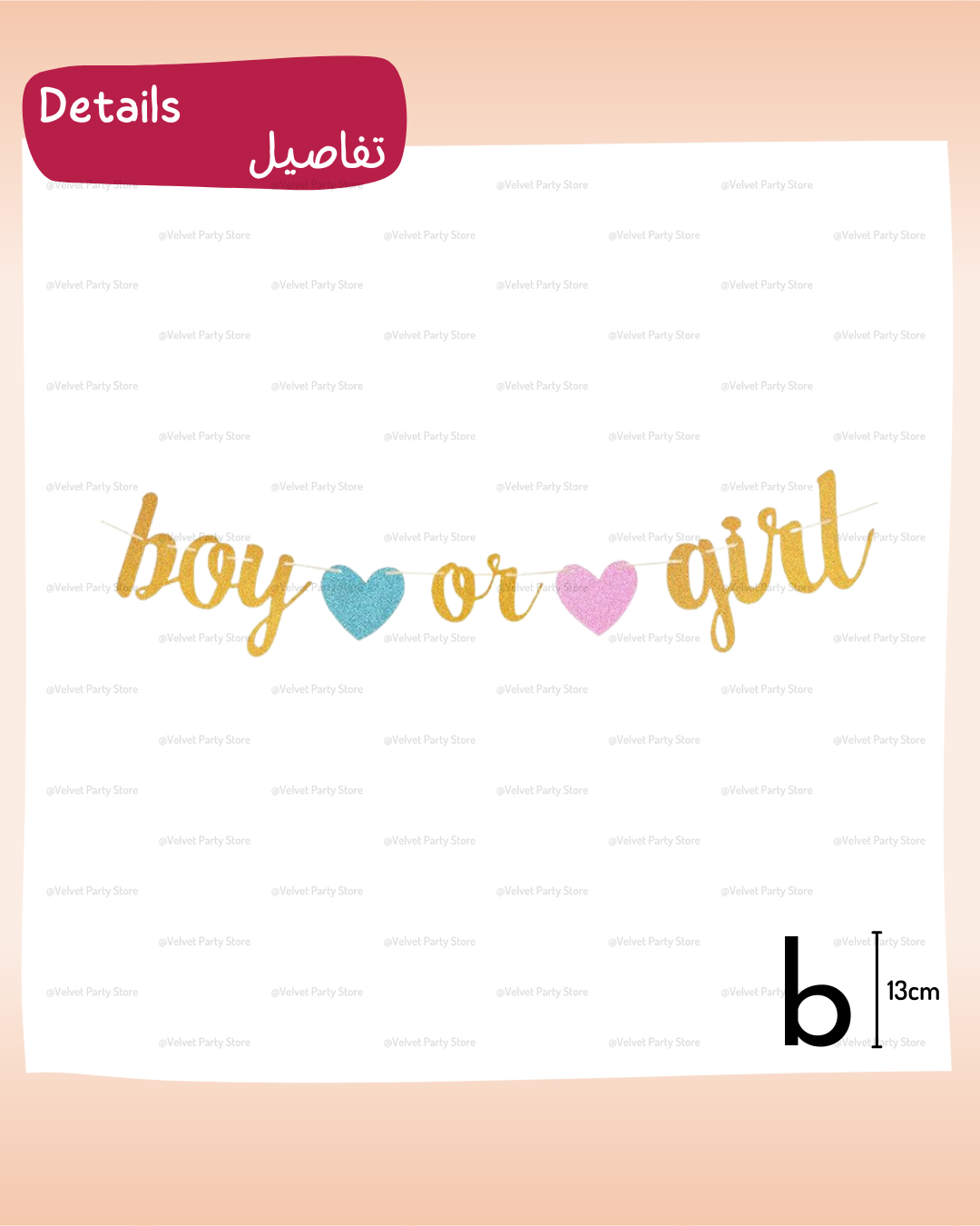 Gender Reveal Banner