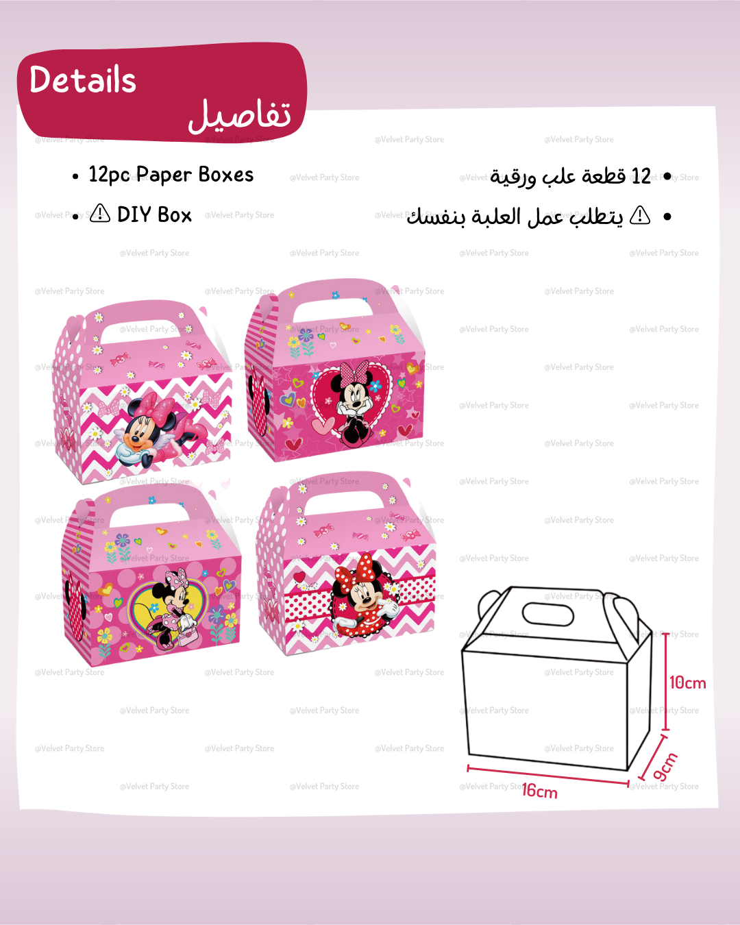 Minnie Mouse Boxes