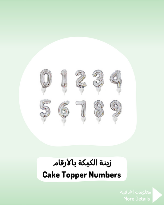 Silver Cake Topper Numbers